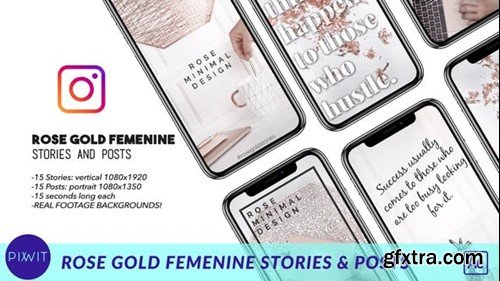Videohive Rose Gold Feminine  Stories and Posts 41498144