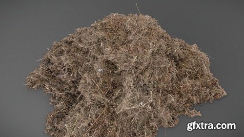 Small Hay pile 3D Model