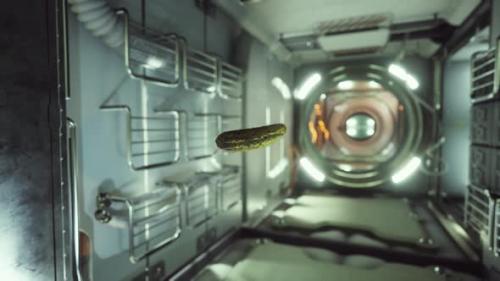 Videohive - Marinated Pickled Cucumber Floating in Internation Space Station - 41225100 - 41225100