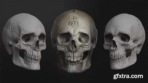 The Gnomon Workshop - Sculpting the Human Skull
