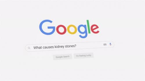 Videohive - What causes kidney stones? Google search - 41683573 - 41683573