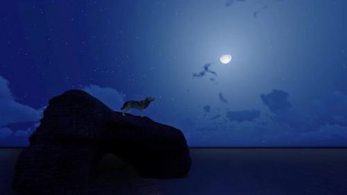 Videohive - Wolf Howl in Moonlight Night - 41665784 - 41665784