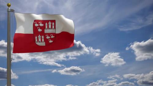 Videohive - Zwickau City Flag - Germany - 41671887 - 41671887