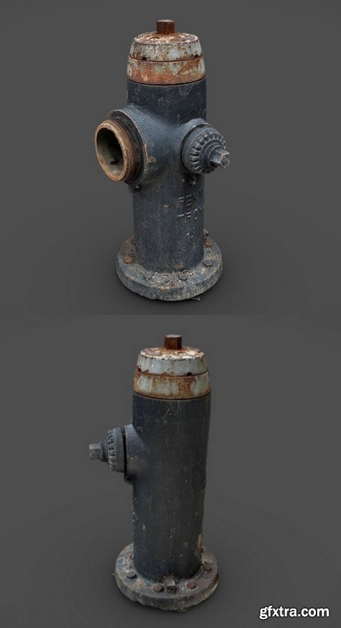 New York Fire Hydrant 3D Model