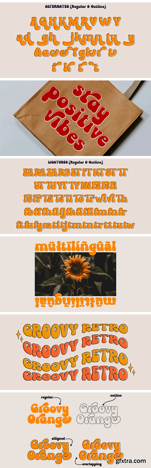 Groovy Orange Font Family