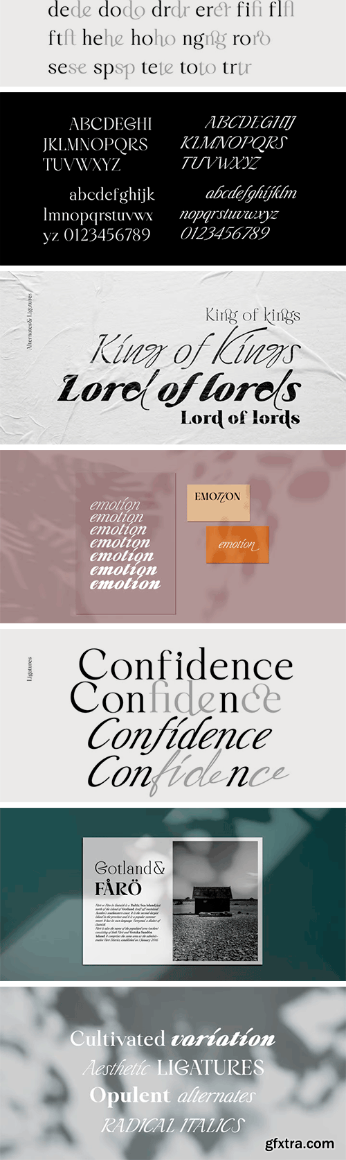 Liliane Classe Font Family