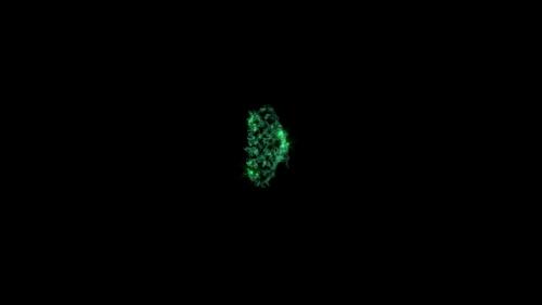 Videohive - Green Electromagnetic Energy - 41673657 - 41673657