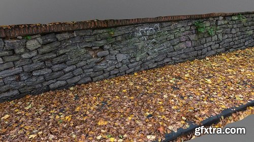 Leaf covered sidewalk with stone wall 3D Model