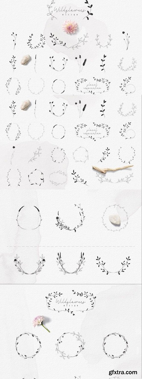 Hand-drawn Botanic Elements. Herb, Plant