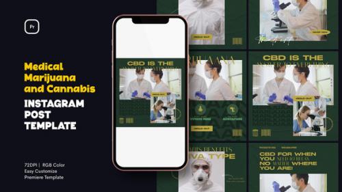 Videohive - Medical Marijuana and Cannabis Instagram Post - 41672006 - 41672006