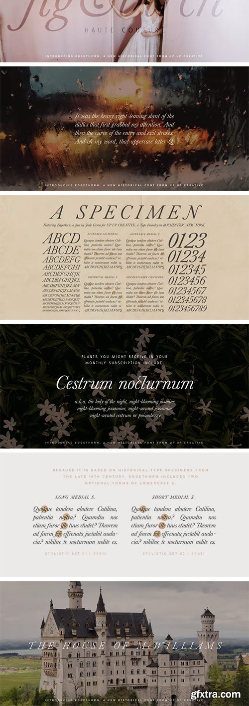 Edgethorn Font