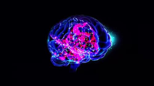 Videohive - Human brain hologram. Transparent 3D model of human organ on black background. - 41689850 - 41689850