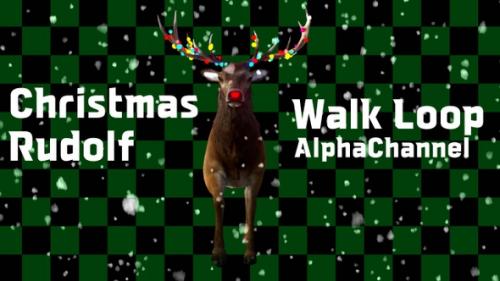 Videohive - Christmas Rudolf Walk front view - 41809614 - 41809614