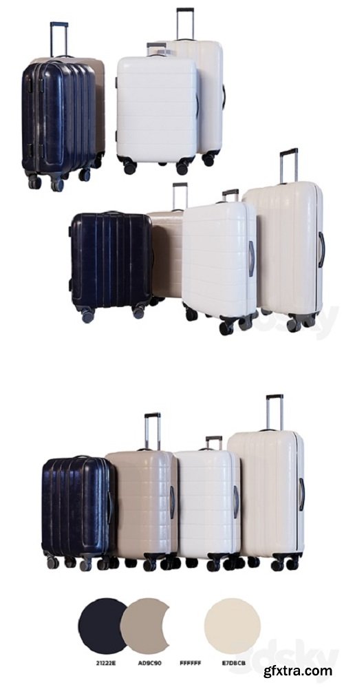 Luggage Set