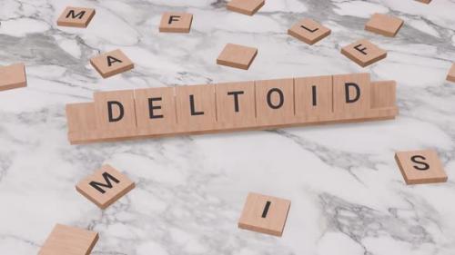 Videohive - DELTOID word on scrabble - 41822995 - 41822995