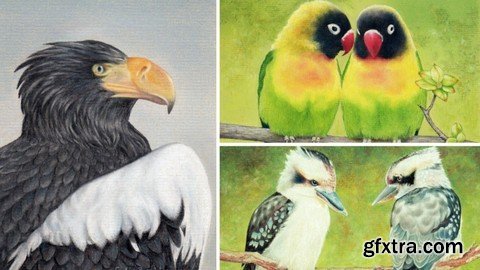 How To Draw Birds Vol 4 - Sea Eagle, Kookaburras And Parrots