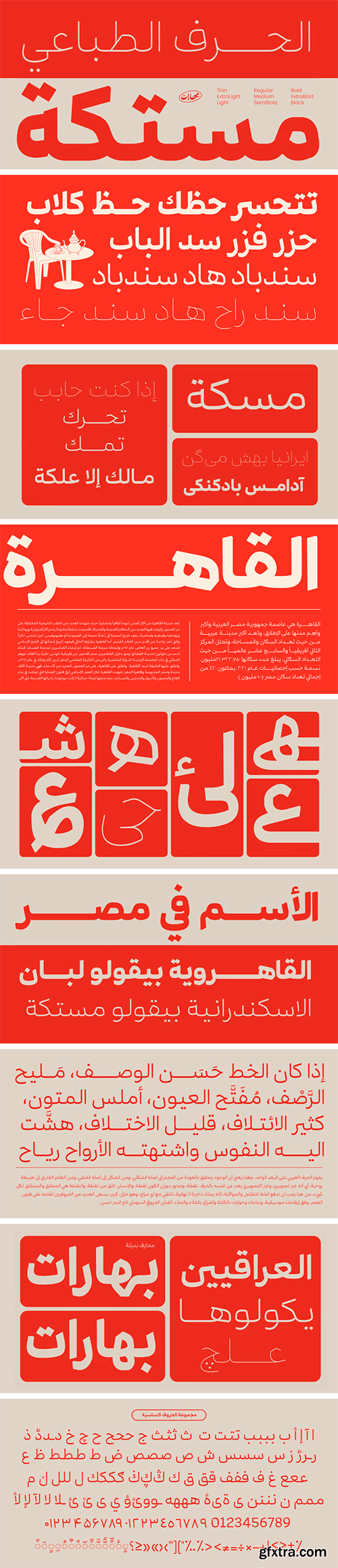 Mestika Arabic Font Family