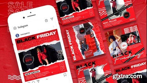 Videohive Black Friday Instagram Story 41858870