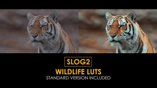 Videohive - Slog2 Wildlife and Standard LUTs - 41884677 - 41884677