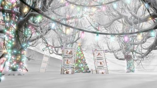 Videohive - Christmas Slideshow in a Snowy forest - 41937518 - 41937518