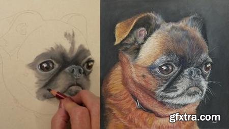 Draw and Paint a Pet Portrait Accurately