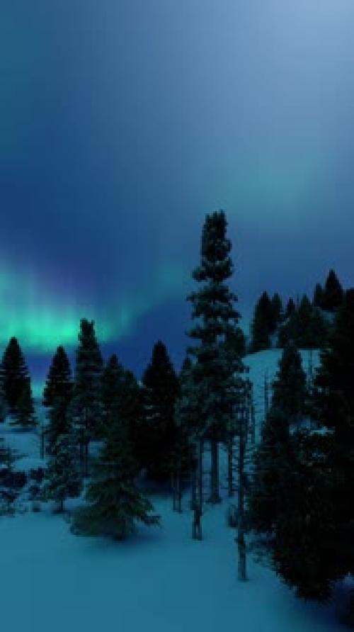 Videohive - Vertical Looped Animation Northern Lights In Snowy Night In Fir Tree Forest - 41897583 - 41897583