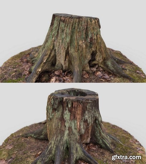 Tree stump 3D Model