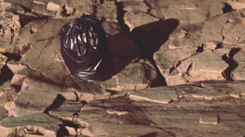 Videohive - Black Trash Bag Lay on a Rocky Beach - 41964858 - 41964858