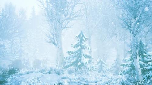 Videohive - Winter Storm in a Forest in Winter - 41965239 - 41965239