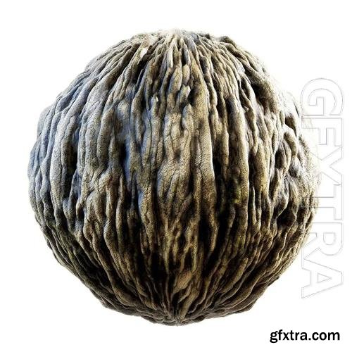 Tree Bark PBR Texture