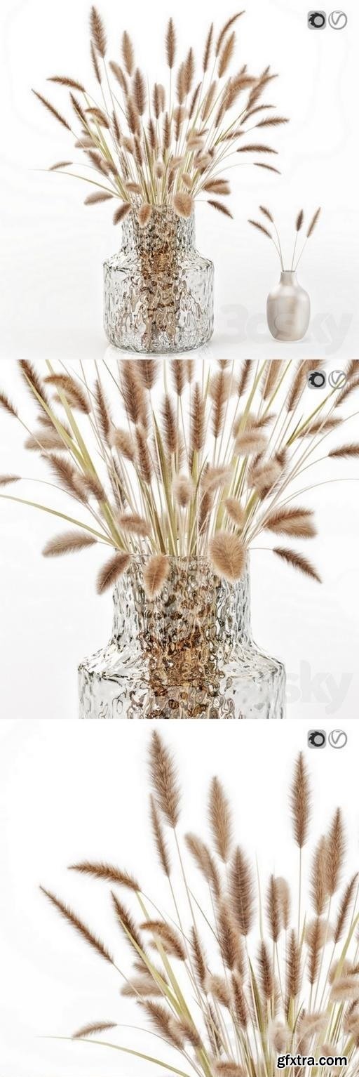 Dry flowers in glass vase 2