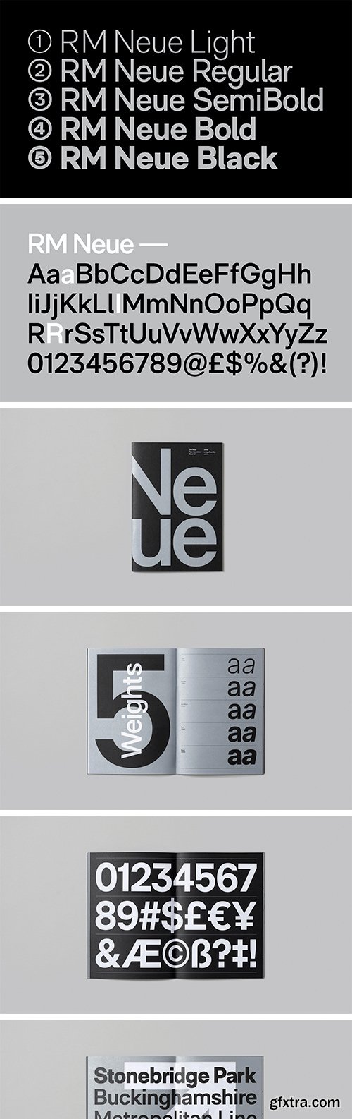 RM Neue Font Family (Updated)