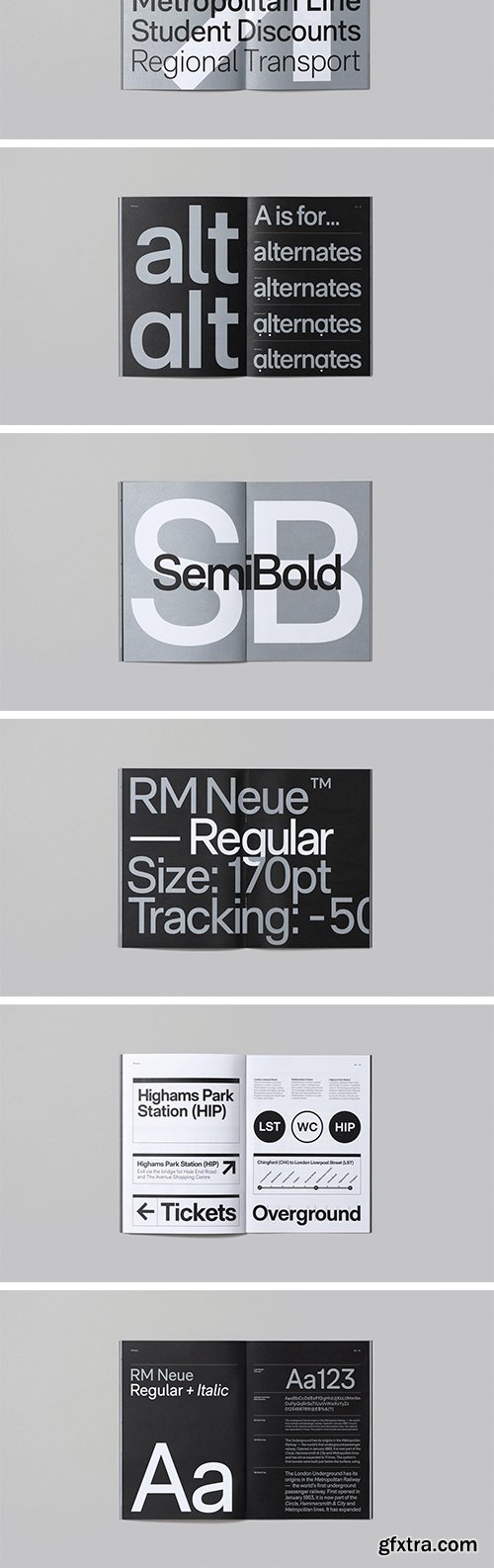 RM Neue Font Family (Updated)