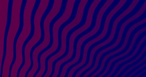 Videohive - Purple Red Zebra Abstract Background. Digital Backdrop Animation - 41962736 - 41962736