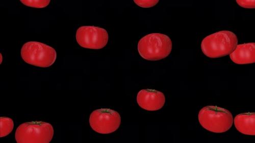 Videohive - Tomatos Falling on the Black Background - 41982701 - 41982701