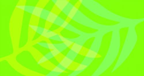 Videohive - Abstract green background, yellow plant ornament animation. Graphic backdrop - 41962723 - 41962723