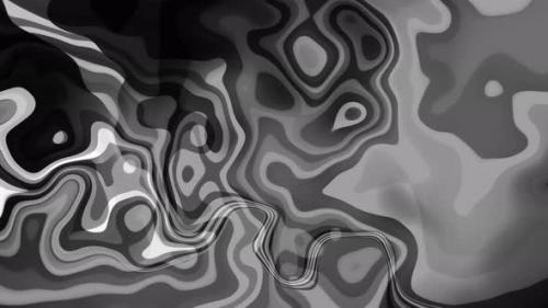 Videohive - Black White Abstract Liquid Motion Animated Background - 42008905 - 42008905