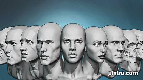 Head anatomy and sculpting exercises course