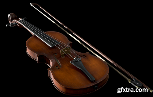 Old Maggini Violin 3D Model