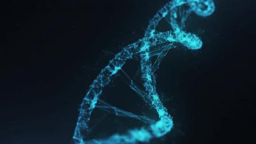 Videohive - Plexus Dna Pack - 42066258 - 42066258