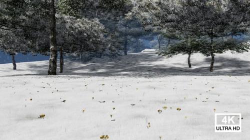 Videohive - Beautiful Landscape In Park With Tree And Snow Covered Grass Field - 42165700 - 42165700