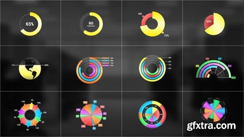 Videohive Circle Chart Infographic 42130050