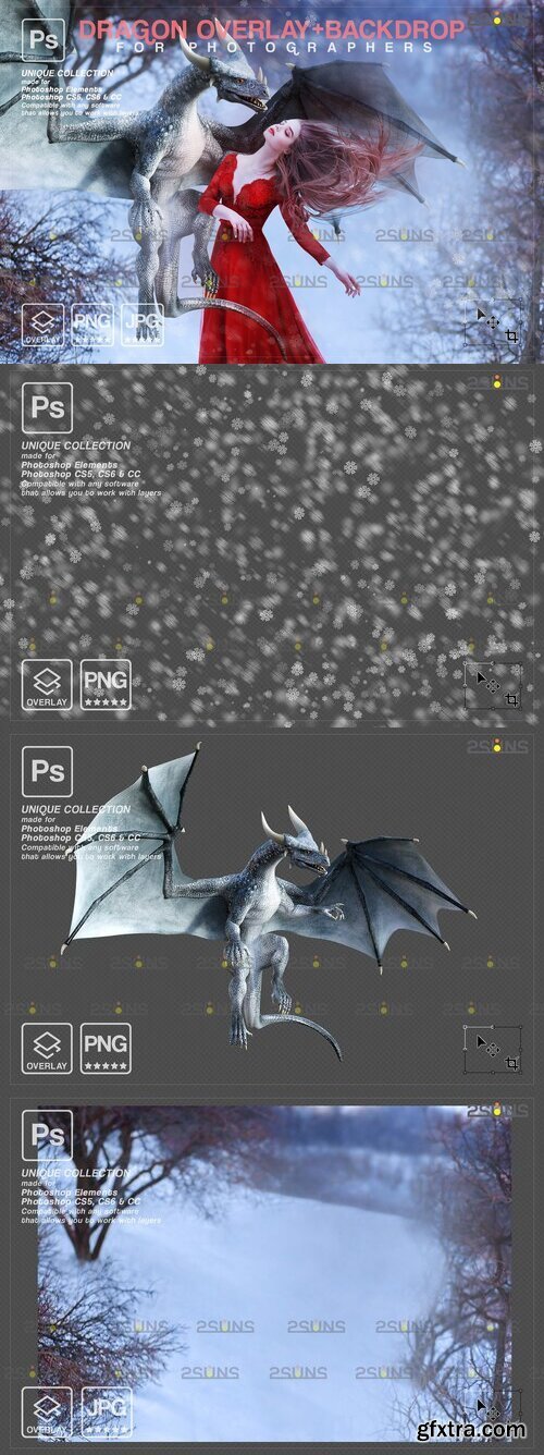 Creativemarket - Digital Winter Backdrop, Dragon Overlay 10956707