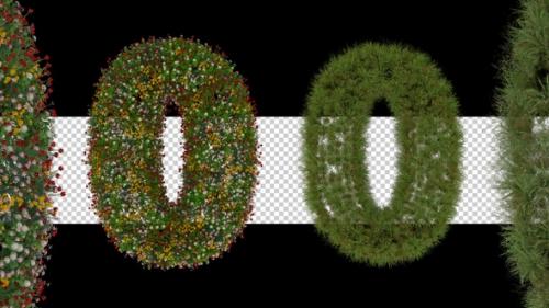 Videohive - 3d Number Formation Animation With Plant - 42146925 - 42146925