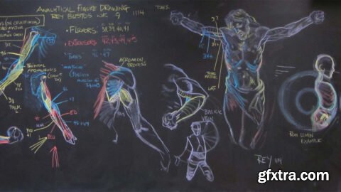 Complete Human Anatomy for Artists Live Class - April 2022 with Rey Bustos