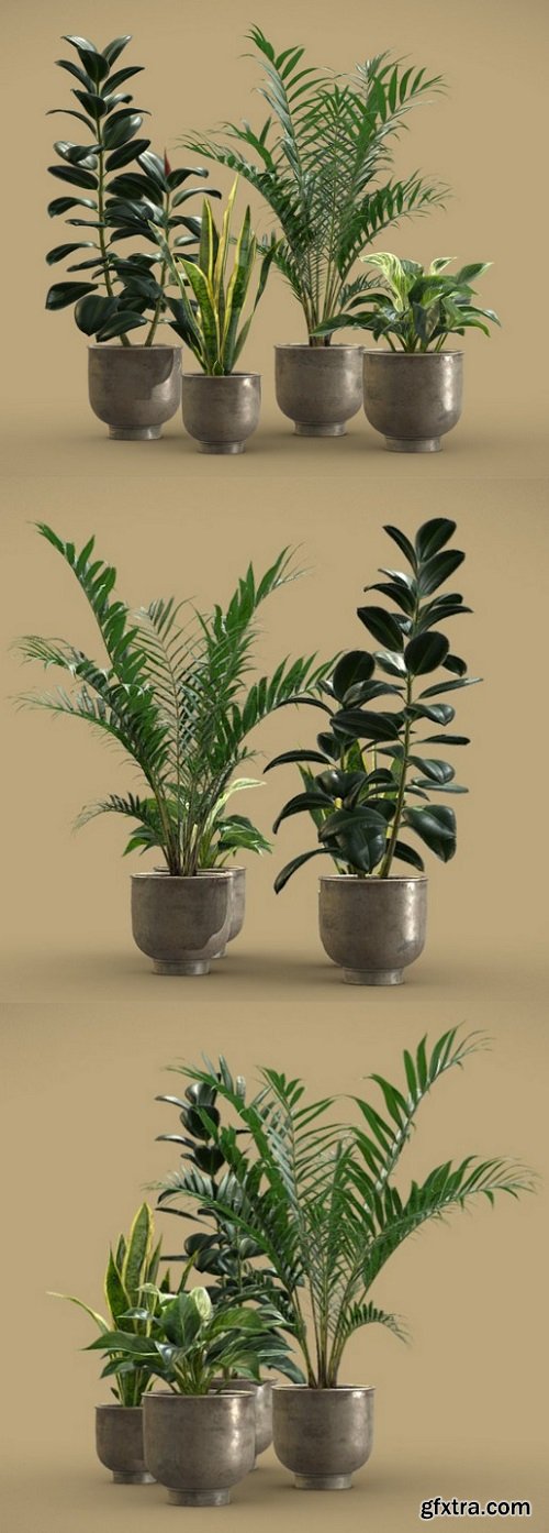 Indoor Plants Pack 20 3D Model