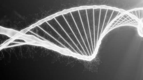 Videohive - Microscope View to Destruction of the Dna Helix Strand for the Molecules Atoms - 42162649 - 42162649