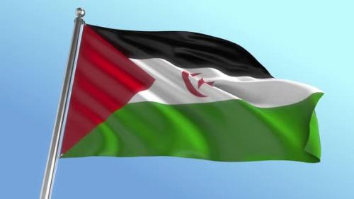 Videohive - Western Sahara Flag - 42180022 - 42180022