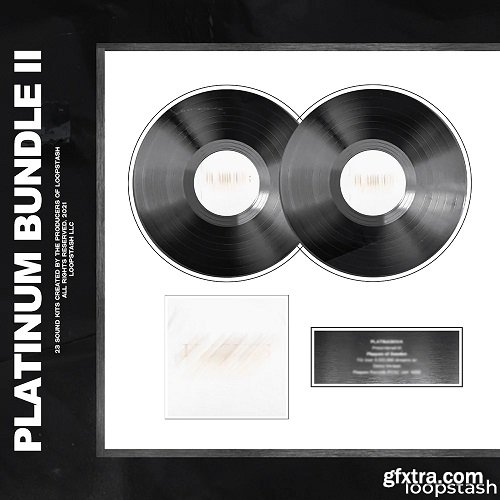 Loopstash Platinum Bundle VOL 2 WAV AiFF Omnisphere Bank-FANTASTiC