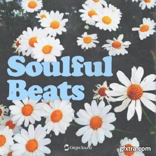 Origin Sound Soulful Beats WAV Beatmaker Presets-FANTASTiC